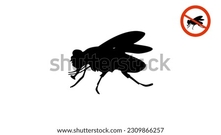 housefly silhouette, high quality vector