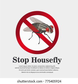 housefly , vector illustration