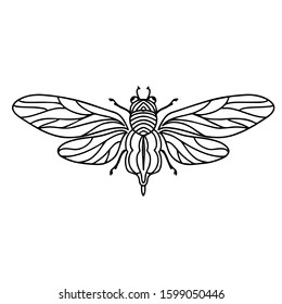 Housefly vector illustration. Fly insect. Coloring pages.
