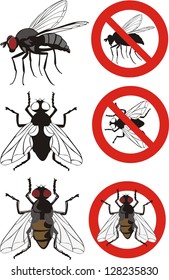 housefly - warning signs