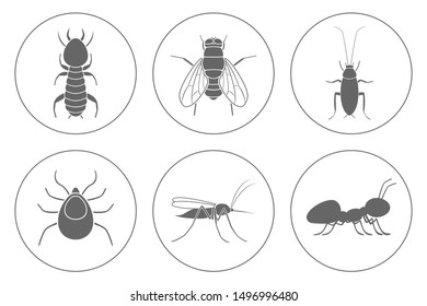 Household pests icon set. Cockroach, termite, mosquito, fly, ant and tick. Vector.