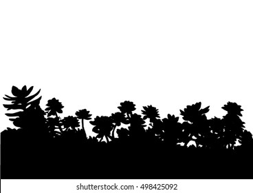 Houseleeks sempervivum black silhouette vector