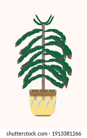 Houseplant in aesthetic plant pot. Green nature, vintage vibes.