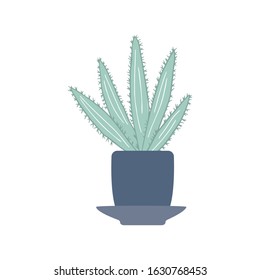 Houseplant aloe in doodle style. Cute prickly green cactus in pots. Cacti flower isolated on white background. Hand drawn floral vector illustration.