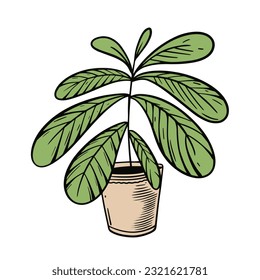 Houseplant with big leaf. Hand drawn sketch art in cartoon style vector illustration. Isolated on white background.