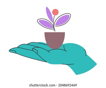 Houseplant with blooming flower and leaves, isolated hand holding potted flora. Orangery and gardening, growing botanic decoration for home. Spring and summer season decor. Vector in flat style