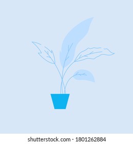 Houseplant in blue pot semi flat RGB color vector illustration. Small decorative home plant with big foliage. Natural homeplant, potted flower isolated cartoon object on blue background