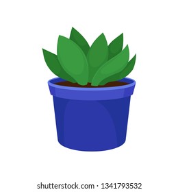Houseplant in blue pot. Vector flat illustration.
