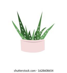 Houseplant Botanical Flowerpot Vector Illustration