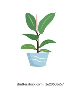 Houseplant Botanical Flowerpot Vector Illustration