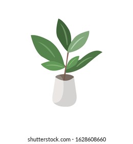 Houseplant Botanical Flowerpot Vector Illustration