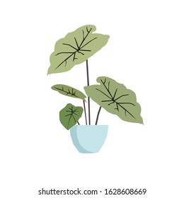 Houseplant Botanical Flowerpot Vector Illustration