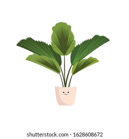 Houseplant Botanical Flowerpot Vector Illustration