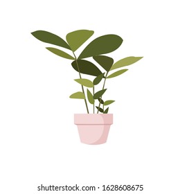 Houseplant Botanical Flowerpot Vector Illustration