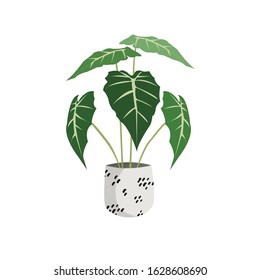 Houseplant Botanical Flowerpot Vector Illustration