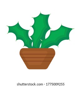 Houseplant cacti vector cartoon icon. Vector illustration cactus on white background. Isolated cartoon illustration icon houseplant cacti.