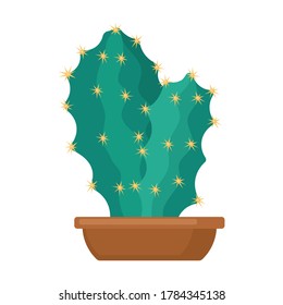 Houseplant cacti vector cartoon icon. Vector illustration cactus on white background. Isolated cartoon illustration icon houseplant cacti.