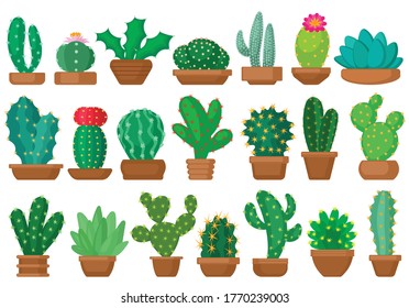 Houseplant cacti vector cartoon set icon. Vector illustration cactus on white background. Isolated cartoon set icon houseplant cacti.