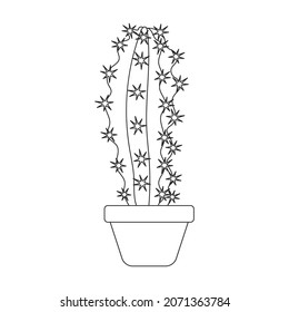 Houseplant cacti vector outline icon. Vector illustration cactus on white background. Isolated outline illustration icon houseplant cacti.