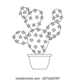 Icono de contorno vectorial de cactus de huertos. Cactus de ilustración vectorial sobre fondo blanco. Icono de ilustración de contorno aislado, ama de casa cactus.