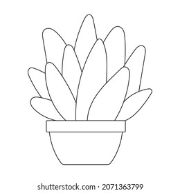 Houseplant cacti vector outline icon. Vector illustration cactus on white background. Isolated outline illustration icon houseplant cacti.