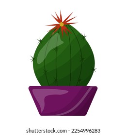 Houseplant cactus in a pot cartoon illustration