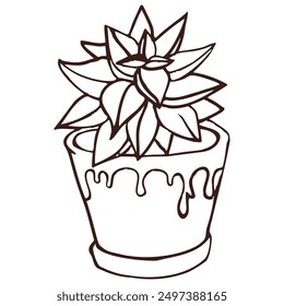 Houseplant, cactus in a pot.  A hand-drawn image of a houseplant isolated from the background. Vector image of a cactus.