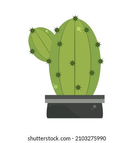 houseplant cactus in pot icon