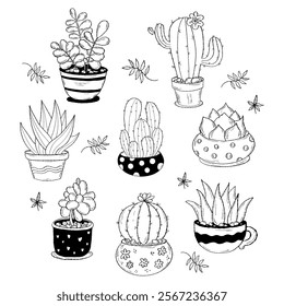 Houseplant cactus set.  Isolated hand drawings tropical indoor plants in pots. Vector illustration