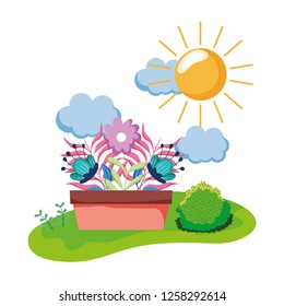 houseplant in the camp scene