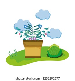 houseplant in the camp scene