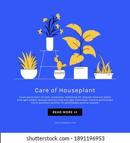 Houseplant care banner with place for text. Indoor plants in pots. Vector illustration in trendy style.