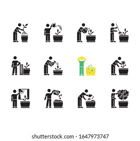 Houseplant care black glyph icons set on white space. Domestic plant cultivation. Repotting, fertilizing. Planting flower seeds. Watering, spraying. Silhouette symbols. Vector isolated illustration