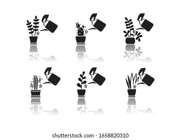 Houseplant care drop shadow black glyph icons set. Domestic plant cultivation. Watering domestic plants. Moisturizing, rehydrating soil. Moistening ground. Isolated vector illustrations on white space