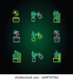 Houseplant care neon light icons set. Plant cultivation. Spraying, misting plants. Planting seeds. Air temperature conditions. Signs with outer glowing effect. Vector isolated RGB color illustrations