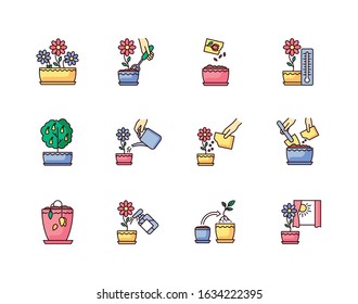 Houseplant care RGB color icons set. Indoor gardening steps. Domestic plant cultivation. Repotting, spraying plants. Planting flower seeds. Watering, fertilizing. Isolated vector illustrations