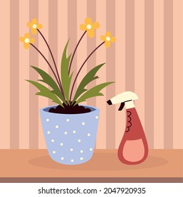 houseplant care and spray gardening
