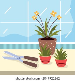 houseplant care and tool design