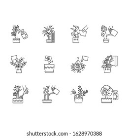 Houseplant caring pixel perfect linear icons set. Plant transplant. Watering, fertilizing. Spraying. Customizable thin line contour symbols. Isolated vector outline illustrations. Editable stroke