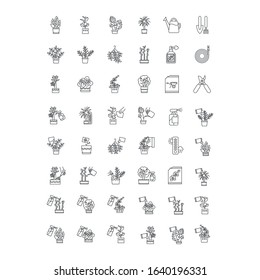 Houseplant caring pixel perfect linear icons set. Indoor gardening tools. Watering, fertilizing. Customizable thin line contour symbols. Isolated vector outline illustrations. Editable stroke