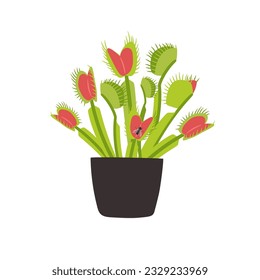 Houseplant carnivorous Venus flytrap in flower pot and fly insect  Vector insect trap from plant  carnivorous houseplant illustration