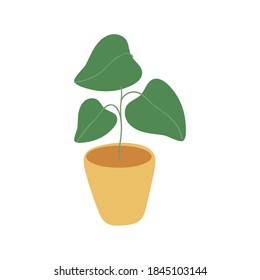 houseplant in ceramic pot isolated icon vector illustration design