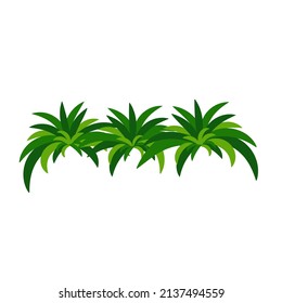 Houseplant chlorophytum for interior decoration. Vector illustration of home flowers. Trendy home decor with plants, urban jungle.