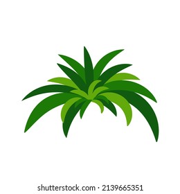 Houseplant chlorophytum for interior decoration. Vector illustration of home flowers. Trendy home decor with plants, urban jungle.