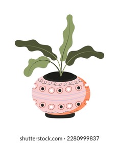 Houseplant in clay pot. Urban jungle. Potted green ficus, monstera, protea in stylish pot. Home plants in flower pot.