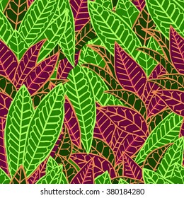 Houseplant: codiaeum variegatum. Seamless background.