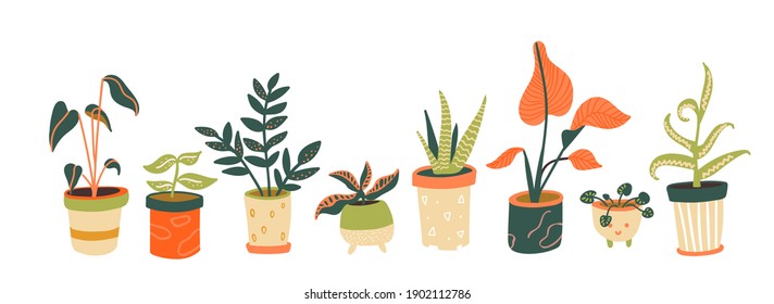 Houseplant collection. Different indoor plants in pots. Aloe, tropical trees, pilea. Trendy home decor, urban jungle horizontal banner