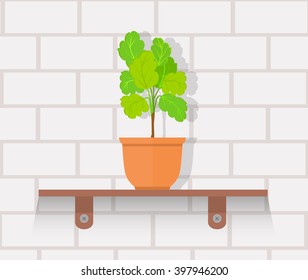 Houseplant design flat concept. House plant pot isolated, indoor plants flower and green nature, leaf and pot, gardening growth vector illustration. Vase with flowers on shelf against wall of brick