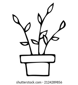 Houseplant doodle vector illustration for home interior botanical Scandinavian style room flowers
