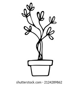 Houseplant doodle vector illustration for home interior botanical Scandinavian style room flowers